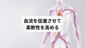 右の腰が痛くなるきっかけにはまず血行不良が関係しています。
血行不良は筋肉に酸素と栄養が送られなくなるため柔軟性が低下し硬くなります。

そしてこの状態が長く続くと何かの拍子で筋線維が切れてしまいます。
その筋線維が損傷した状態で触ると冷たく、だる重い痛さを感じたり、炎症が起きると熱を持って痛みを感じるようになります。

筋肉が原因の腰痛の場合は、筋肉に血液を流すように促します。
それにより筋肉は正常な柔軟性に回復するため腰痛は治まります。