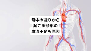 また背中の凝りは以下のような不調と関係している場合があります。
・首の痛み
・視力低下
・頭重感
・不眠症状
・イライラ
・気力や集中力の低下

その理由には肩から後頭部にかけて通っている椎骨動脈(ついこつどうみゃく)が関係しています。
肩から後頭部にかけての筋肉が過剰に緊張して凝ってしまうと、この動脈が圧迫を受けて頭部、顔面、脳の血流が低下させてしまいます。

この血流不足によって引き起こされると先ほどの不調の他に頭痛、めまい、フラフラする、気持ちが落ち込む、などの症状が現れることがあります。
この場合、肩から後頭部にかけての末梢循環、毛細循環を改善すると筋肉のこりや異常な緊張が解消されます。
それにより椎骨動脈の血流不足で起きていた様々な症状も改善できます。