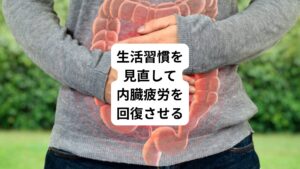 内臓疲労は飲みすぎ、食べ過ぎ、睡眠不足、ストレスなど生活習慣の乱れから起こります。
内臓疲労を回復させるには、
・暴飲暴食は避ける
・睡眠時間を確保する(7~8時間が目安)
・バランスの良い食事をする
・水はこまめに摂取する
・糖分や脂質の多い間食は避ける
以上の習慣を気をつけて実行していきましょう。

とはいえ、「どうしても好きな食べ物や飲み物などが欲しくなる」「いきなり習慣を変えるのは難しい」と思っている方はおられるのではないでしょうか。
その場合は週3回は休肝日として内臓疲労を作らないようにバランスの良い食事を心がけるようにしてください。