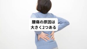 腰痛の原因は、大きく分けて2つあります。
以下の通りです。

【①腰(脊柱)に由来するもの】
これは主に腰に対して加齢や外傷、感染や炎症、腫瘍などの影響で腰痛が起こるものをさします。
椎間板ヘルニア、急性腰痛、腰椎分離症などがこれに該当します。

【②腰以外に由来するもの】
これは腰に直接関わりのない疾患によって間接的に腰痛を引き起こすものをいいます。
循環器系の疾患や婦人科系の疾患、また精神疾患や精神的なストレスなどによって起こるものをさします。
腰痛の原因は多岐にわたるため、正確な診断と治療のためには、専門医療機関の診察を受ける必要があります。