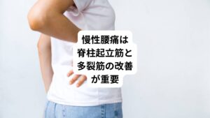 脊柱起立筋は体表面近くにある筋肉ですが、いわゆる体を反らす動作でこの筋肉は収縮します。
この脊柱起立筋は①腸肋筋群、②最長筋群、③棘筋群の3つに分けられます。
特に腰部では最長筋と腸肋筋にトリガーポイント(痛みを起こす筋肉のこり)ができやすい傾向にあります。

他には多裂筋は深層にあり脊柱の際に付着して仙骨まで覆います。
この筋肉は骨盤の安定にも作用し、反り腰の場合は常に過緊張が起こります。

慢性の腰痛の場合はこれら脊柱起立筋と多裂筋の状態をチェックする必要があります。
このように筋肉や筋膜が原因の腰痛である場合はトリガーポイントに的確にアプローチすることが改善への近道になります。