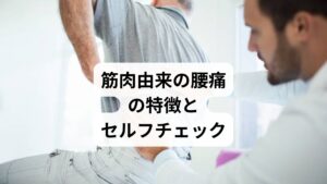 筋肉が原因の腰痛には、以下のような特徴があります:
動いたときに痛みが強くなる(特定の動作で悪化)
押すと痛い場所がある(圧痛点)
朝起きたときや長時間同じ姿勢の後に痛みが出る
レントゲンやMRIでは異常が見つからない
セルフチェック方法:
仰向けで膝を立て、腰が浮くか沈むか確認(反り腰・フラット腰)
片足立ちで骨盤が傾くかチェック(中臀筋の弱化)
腰を押して痛みがあるか(トリガーポイントの可能性)