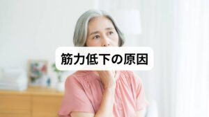 筋力低下は単一の要因ではなく、複数の要因が重なって起こります。
運動不足:筋肉を使わない生活習慣が筋力低下を招く。
加齢:筋肉量が自然に減少し、筋力が低下。
栄養不足:タンパク質やビタミン不足が筋肉の合成を妨げる。
ストレス:自律神経の乱れが血流や代謝を悪化させる。
生活習慣の乱れ:睡眠不足や不規則な食事が筋肉の回復を阻害。
このように「筋力低下の原因」を理解することは、改善への第一歩です。