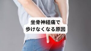 坐骨神経痛の原因は多岐にわたります。以下のような要因が複雑に絡み合っていることが多いです。

代表的な原因

腰椎椎間板ヘルニア：椎間板が飛び出し、神経を圧迫
脊柱管狭窄症：加齢や姿勢不良により神経の通り道が狭くなる
梨状筋症候群：お尻の筋肉が坐骨神経を締め付ける
骨盤の歪み：長時間の座位や脚を組む癖などで発生
内臓の不調：腎臓や腸の機能低下が腰部の緊張を引き起こす

これらの原因を正確に見極めることが、根本的な坐骨神経痛の改善には欠かせません。