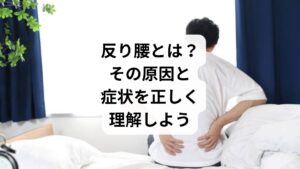 反り腰は、以下のような特徴を持つ姿勢の歪みです:
腰のカーブ(前弯)が過剰に強くなっている
骨盤が前に傾いている(骨盤前傾)
下腹が前に突き出て、お尻が後ろに突き出る
太もも前側が張りやすく、腰に負担がかかる
主な原因は以下の通りです:
長時間の座り仕事やスマホ操作による姿勢の崩れ
腹筋の弱化と背筋の過緊張による筋バランスの乱れ
ハイヒールや反り腰を助長する靴の使用
妊娠・出産後の骨盤の不安定化
運動不足による筋肉の柔軟性低下