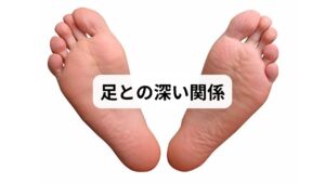 腰痛は日本人の国民病とも言われ、長時間の座位や運動不足、ストレスなどが原因とされます。しかし、東洋医学では「足」に注目。足には腰とつながる経絡が通っており、ツボを刺激することで腰の筋肉や神経に間接的に働きかけることができます。特に足裏・ふくらはぎ・足の甲には腰痛に効果的なツボが多数存在します。