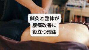 ストレッチだけでは改善しきれない腰痛もあります。そこで鍼灸や整体が有効です。
鍼灸:ツボを刺激することで血流を促進し、筋肉の緊張を緩和。ホルモンバランスの調整にも寄与。
整体:骨盤や背骨の歪みを整え、体のバランスを回復。筋肉の負担を軽減。
これらはストレッチと相性が良く、組み合わせることでより早い改善が期待できます。