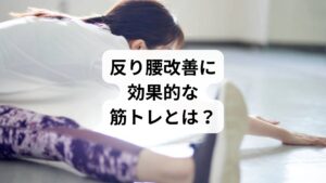 反り腰を改善するには、骨盤の前傾を抑え、腰椎の過度な反りを防ぐ筋肉を鍛えることが重要です。特に以下の筋肉をターゲットにした筋トレが効果的です: