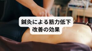 鍼灸は東洋医学の代表的な治療法であり、筋力低下改善に高い効果が期待できます。
ツボ刺激による血流改善:筋肉に酸素と栄養を届ける。
筋肉の緊張緩和:肩こりや腰痛を解消し、筋肉を動かしやすくする。
自律神経の調整:交感神経と副交感神経のバランスを整え、代謝を促進。
ストレス軽減:施術によるリラックス効果で精神的安定を促す。
鍼灸は「筋力低下の改善」を自然な形でサポートする有力な方法です。