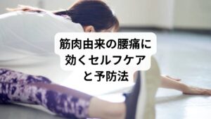 ✅ストレッチ
腸腰筋ストレッチ(片膝立ちで前足に体重を乗せる)
腰方形筋ストレッチ(座って体を横に倒す)
ハムストリングスストレッチ(前屈で太もも裏を伸ばす)
✅筋力トレーニング
ドローイン(腹横筋を鍛える)
ヒップリフト(大臀筋・体幹強化)
プランク(腹筋群と背筋群の安定性向上)
✅姿勢改善
骨盤を立てて座る習慣
長時間の座位を避け、1時間に1回は立ち上がる
スマホ・PC使用時の目線と椅子の高さを調整