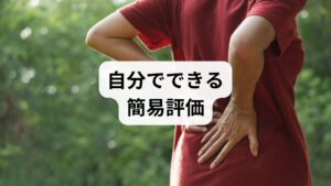 動作での変化：前屈・後屈・捻りで痛みが増すか。
圧痛の確認：腰部や臀部を軽く押して痛みのある点があるか。
持続時間とトリガー：長時間座る・同一姿勢・重い荷物で悪化するか。
これらが当てはまる場合、筋肉性腰痛の可能性が高く、まずはセルフケアで改善を試みられます。ただし、排尿障害や急激な筋力低下がある場合は速やかに医療機関へ。