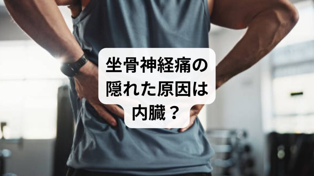 坐骨神経痛の隠れた原因は内臓？症状チェックと鍼灸＋整体での改善法【体験談あり】
