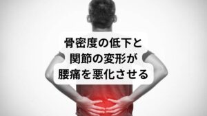 閉経後の女性は、骨密度の低下による圧迫骨折や変形性関節症のリスクが高まります。
骨がもろくなり、ちょっとした動作でも腰椎に負担がかかる
椎間板腔の狭小化や脊椎すべり症などが進行
骨盤周囲の筋肉が引っ張られ、腰痛を誘発
特に、骨粗しょう症や椎間板変性が進行すると、薬や湿布では改善しにくくなります。