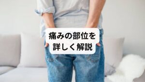 坐骨神経痛の痛みは人によって異なりますが、典型的な部位は以下です:
腰部:腰椎の異常や椎間板ヘルニアが原因で痛みが始まることが多い
臀部(お尻):坐骨神経が通る梨状筋が硬直すると痛みが集中
太ももの裏:神経の走行に沿って痛みが広がる
ふくらはぎから足先:しびれや冷感を伴うことがあり、歩行困難になるケースもある
「坐骨神経痛 痛みの場所」を理解することは、治療法を選ぶ上で非常に重要です。