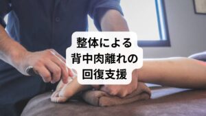 整体は、骨格や筋膜のバランスを整える手技療法です。背中肉離れに対しては以下のような効果があります:
背骨や肩甲骨の歪みを調整し、筋肉への負担を軽減
筋膜リリースにより深層筋の緊張を緩和
姿勢改善による再発予防
可動域の回復で日常動作が楽に
鍼灸と組み合わせることで、炎症の鎮静と構造的な修復が同時に進むため、回復が早まる傾向があります。