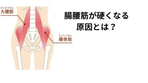 腸腰筋が硬くなる主な原因は以下の通りです:
長時間の座位:デスクワークやスマホ操作で腸腰筋が縮んだまま固まる
運動不足:筋肉の柔軟性が低下し、血流も滞る
姿勢の乱れ:猫背や反り腰が腸腰筋に負担をかける
ストレス:交感神経優位で筋肉が緊張しやすくなる
これらの要因が重なると、腸腰筋が硬直し、腰痛が慢性化しやすくなります。