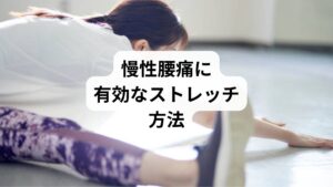 慢性腰痛を改善するには、毎日のストレッチが欠かせません。以下は代表的な方法です。
キャット&カウ(ヨガポーズ)
四つん這いで背中を丸めたり反らしたりする。背骨の柔軟性を高める。
太もも裏ストレッチ
仰向けで片足を伸ばし、タオルで軽く引き寄せる。腰の負担を減らす。
骨盤回しストレッチ
椅子に座り、骨盤を円を描くように回す。血流改善に効果的。
腰ひねりストレッチ
仰向けで膝を立て、左右に倒す。腰周りの筋肉を緩める。
これらを毎日5〜10分行うことで、慢性腰痛の緩和と再発予防につながります。