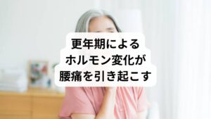 50代女性の腰痛の大きな原因のひとつが、女性ホルモン(エストロゲン)の急激な減少です。
エストロゲンは骨の新陳代謝や関節の滑らかな動きに関与
更年期に分泌量が急減すると、骨密度が低下し、関節や筋肉がこわばりやすくなる
自律神経の乱れにより、血流が悪化し、筋肉の緊張が持続する
このような変化により、椎間板の変性・関節の炎症・慢性腰痛が起こりやすくなります。