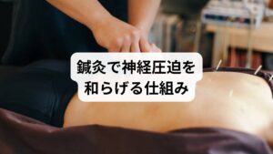 鍼灸は、神経圧迫による痛みやしびれを緩和する有効な方法です。

ツボ刺激による血流改善：神経周囲の血流を促進し、圧迫による炎症を軽減
自律神経の調整：交感神経の過剰な緊張を抑え、副交感神経を活性化
自然な鎮痛作用：鍼刺激によりエンドルフィンが分泌され、痛みを和らげる

鍼灸は「神経圧迫の改善」において、薬に頼らず自然治癒力を高める点が大きな特徴です。