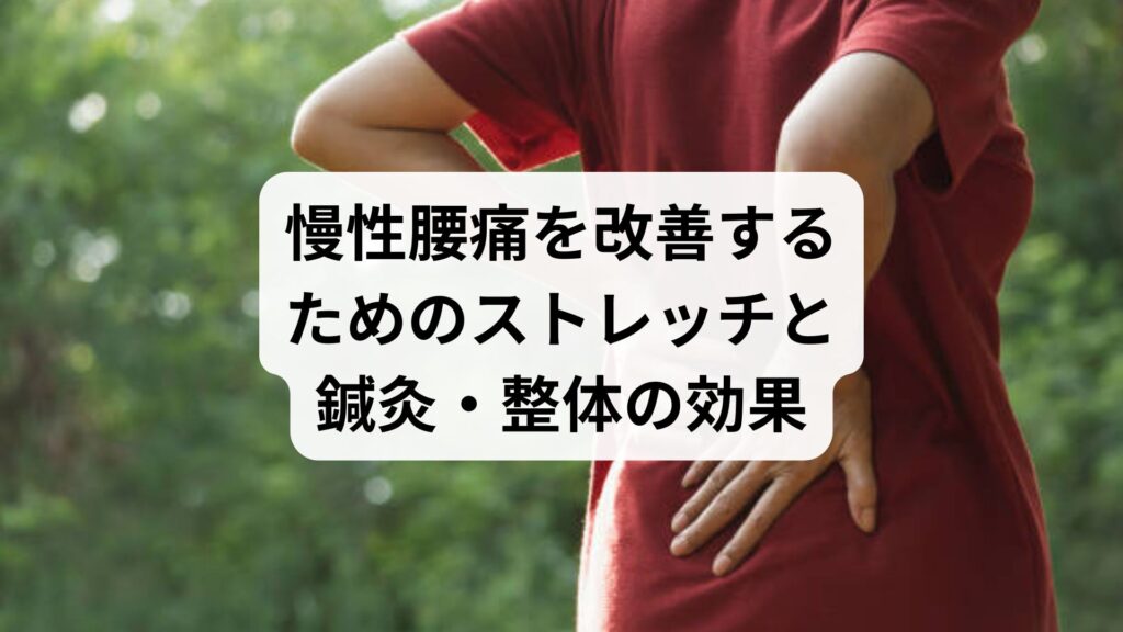 慢性腰痛を改善するためのストレッチと鍼灸・整体の効果