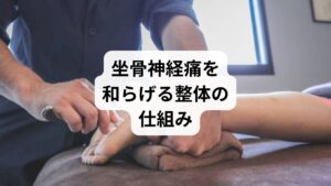 坐骨神経痛は、腰椎や骨盤の歪み、筋肉の緊張が神経を圧迫することで起こります。整体では、
骨格のバランスを整え、神経への圧迫を軽減
筋肉の緊張を分散し、血流を改善
姿勢を正し、再発しにくい体づくりをサポート
といった働きで、坐骨神経痛の根本改善を目指します。