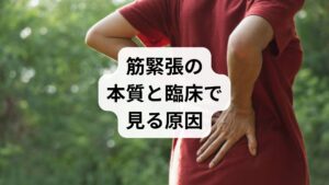 筋緊張は持続的な筋収縮による硬さ・こわばりで、長時間の同姿勢・過使用・ストレス・睡眠不足などが主因です。放置すると血流障害や自律神経の乱れを招きます。