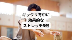 以下は、回復期〜予防期におすすめのストレッチです：

① 肩まわしストレッチ

手を肩に置き、肘を大きく回す
肩甲骨を意識して、前後に各10回ずつ

② キャット＆カウ（四つん這い）

背中を丸める→反らすをゆっくり繰り返す
呼吸と連動させて、背骨の柔軟性を高める

③ 広背筋ストレッチ

両手を壁につけ、腰を引いて背中を伸ばす
肩甲骨〜脇の下が伸びる感覚を意識

④ 脊柱起立筋ストレッチ

座って両手を組み、真上に伸ばす→左右に倒す
脇腹〜背中側をゆっくり伸ばす

⑤ ハムストリングス＆腸腰筋ストレッチ

下半身の柔軟性を高めることで、背中への負担を軽減
片足を前に出して膝を伸ばし、前屈する

※各ストレッチは30秒×2セットが目安。痛みが出る場合は中止してください。