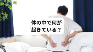 「顔を洗おうと前かがみになった瞬間、腰にピキッと鋭い痛みが走った」
「寝返りを打ったときに腰がピキッとした」
そんな経験はありませんか?
このような「腰 ピキッ」という症状は、ぎっくり腰の前兆や筋肉の過収縮による急性腰痛の可能性があります。放置すると悪化しやすく、慢性化や再発のリスクも高まります。
この記事では、キーワード「腰 ピキッ」に沿って、原因の見分け方、セルフケア、注意点、そして鍼灸整体による改善例までを詳しく解説します。