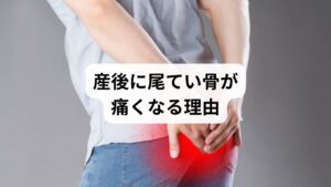 出産後、多くの女性が「尾てい骨の痛み」に悩まされます。これは妊娠・出産に伴う体の変化が大きく関係しています。
分娩時の圧迫:赤ちゃんが産道を通る際に尾てい骨に強い圧力がかかり、打撲や炎症を起こすことがあります。
骨盤の歪み:妊娠中に分泌されるリラキシンというホルモンの影響で靭帯が緩み、骨盤が不安定になり尾てい骨に負担がかかります。
姿勢の影響:授乳や抱っこで前かがみの姿勢が続くと、尾てい骨に圧力が集中し痛みを悪化させます。
筋力低下:妊娠中の運動不足や産後の体力低下により、骨盤底筋が弱まり尾てい骨周囲の安定性が失われます。
このように「産後に尾てい骨が痛い」という症状は複合的な要因で起こり、自然に治るケースもありますが、慢性化する人も少なくありません。