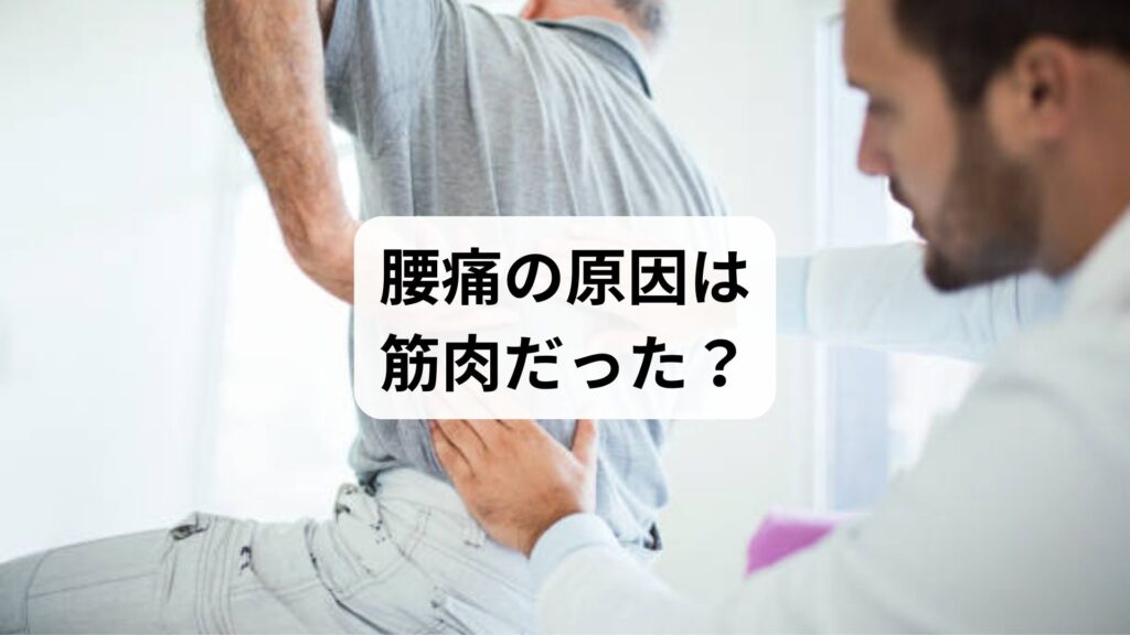 【腰痛の原因は筋肉だった？】代表的な筋肉・症状・セルフケア・鍼灸整体による改善例まで徹底解説