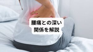 腸腰筋は、大腰筋・小腰筋・腸骨筋の3つから構成されるインナーマッスルで、腰椎から骨盤、太ももにかけて伸びる筋肉群です。主な役割は以下の通り:
股関節の屈曲(脚を持ち上げる動作)
姿勢の安定(骨盤と背骨のバランスを保つ)
体幹の支持(上半身と下半身をつなぐ)
腸腰筋が硬くなると、骨盤が前傾し、腰椎に過度な負担がかかり、慢性的な腰痛や反り腰の原因になります。