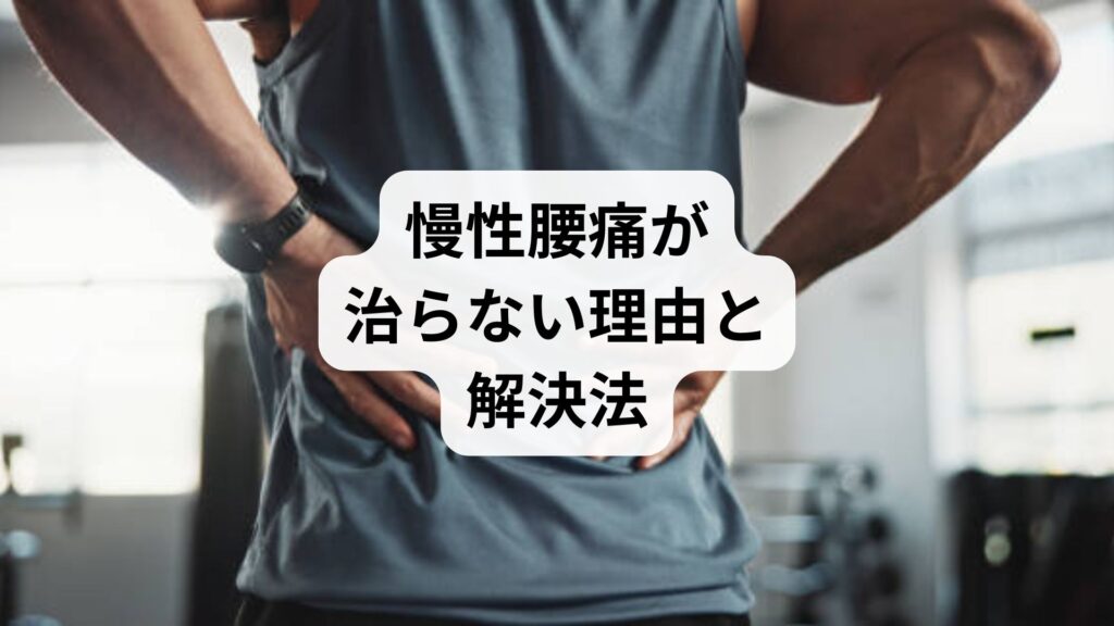 【慢性腰痛が治らない理由と解決法】鍼灸×整体×生活改善で“本当に効く”根本治療を始めよう