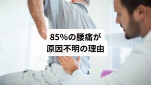 非特異的腰痛とは、レントゲンやMRIなどの画像検査で明確な異常が見つからない腰痛のことです。以下のような要因が複雑に絡み合って発症します:
筋膜や靭帯の微細な損傷
姿勢の崩れや骨盤の歪み
筋肉のアンバランスや過緊張
ストレスや自律神経の乱れ
内臓疲労や冷えによる影響
これらは画像には映らないため、「異常なし」と診断されても、実際には体の深部で不調が起きているのです。