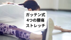 番組で紹介されたストレッチは、寝る前に行うことで翌朝の腰痛を軽減する効果が期待できます。以下の4つが特に有効です:
腰をねじるストレッチ
ひじ立て+ひざ曲げストレッチ
ひざ抱えストレッチ
タオルで脚上げストレッチ
これらは筋肉の柔軟性を高め、寝返りを打ちやすい体づくりに貢献します。