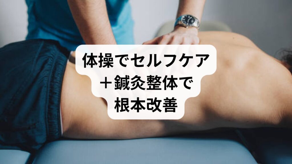 腰痛に効く！体操でセルフケア＋鍼灸整体で根本改善｜薬で治らなかった女性の体験談も紹介