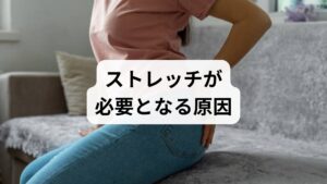ストレッチが必要とされる背景には、現代人特有の生活習慣があります。

長時間の同じ姿勢：デスクワークやスマホ操作で筋肉が硬直。
運動不足：筋肉の柔軟性が低下し、血流が滞る。
ストレス：精神的緊張が自律神経を乱し、筋肉の緊張を助長。
加齢：筋肉や関節の柔軟性が低下。
冷え性：血流が悪化し、肩こりや腰痛を引き起こす。

このように「ストレッチの効果」を最大化するためには、原因を理解し、適切な方法を選ぶことが重要です。