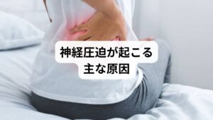 神経圧迫の原因は多岐にわたります。

椎間板ヘルニア：椎間板が突出し、神経を圧迫
骨格の歪み：猫背や反り腰などの姿勢不良
筋肉の緊張：長時間の同じ姿勢による筋肉硬直
加齢変化：骨や関節の変性による神経圧迫

これらの要因が複合的に作用し、慢性的な痛みやしびれを生じます。「神経圧迫の原因」を特定することで、適切な改善策を選択できます。