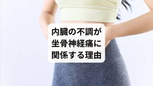 内臓の不調は、坐骨神経痛に以下のような影響を与えます。

腎臓の不調：腰部の血流障害を引き起こし、坐骨神経に影響
子宮・卵巣の不調：骨盤内の緊張が坐骨神経を圧迫
腸の不調：便秘や腸内環境の乱れが骨盤周囲の筋肉を硬直させる

東洋医学では、内臓と経絡（エネルギーの流れ）が密接に関係していると考えられています。内臓の不調が経絡を通じて腰や足に影響を及ぼし、坐骨神経痛を悪化させるのです。