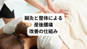 鍼灸と整体は、産後腰痛の根本改善を目指す治療法として注目されています。
鍼灸
ツボを刺激することで血流を改善し、筋肉の緊張を緩和します。自律神経のバランスを整える効果もあり、産後特有のホルモン変化による不調にも対応できます。
整体
骨盤矯正を中心に、姿勢や筋肉のバランスを整えます。骨盤の開きや歪みを改善することで、腰への負担を軽減し、再発予防にもつながります。
両者を組み合わせることで「痛みの緩和+骨盤の安定+再発予防」が可能となり、産後女性にとって安心して受けられる治療法となります。