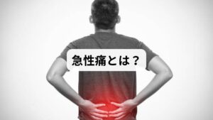 急性痛とは、突然発生し短期間で強い痛みを伴う症状を指します。慢性痛と異なり、外傷や炎症、筋肉の過度な緊張などがきっかけとなり、体が「危険信号」として痛みを発するのが特徴です。例えばぎっくり腰、寝違え、スポーツによる筋肉損傷などが代表的です。急性痛は一時的なものですが、適切なケアを怠ると慢性化する可能性があるため、「急性痛の原因」を理解し、「急性痛の改善」に取り組むことが重要です。