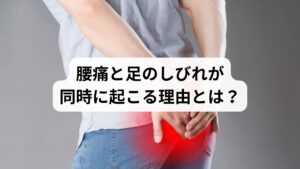 腰痛と足のしびれが同時に現れる場合、神経の圧迫や炎症が関係していることが多いです。主な原因は以下の通りです:
腰椎椎間板ヘルニア:椎間板が飛び出し、神経を圧迫
脊柱管狭窄症:加齢などで神経の通り道が狭くなる
坐骨神経痛:腰から足にかけて伸びる坐骨神経が刺激される
梨状筋症候群:お尻の筋肉が硬くなり、神経を圧迫
これらの疾患では、腰の痛みとともに、太ももやふくらはぎ、足先にかけてのしびれや違和感が生じます。