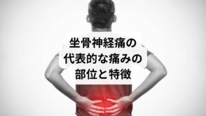 坐骨神経痛の痛みは以下の部位に現れやすいです。

腰部：腰椎の異常による神経圧迫で痛みが出る
臀部（お尻）：坐骨神経が通るため、強い痛みやしびれが集中しやすい
太ももの裏：神経の走行に沿って痛みが広がる
ふくらはぎ：歩行時に痛みや張りを感じやすい
足先：しびれや冷感、感覚鈍麻が起こることもある

特徴として「片側に痛みが出る」ケースが多く、長時間の立位や歩行で悪化する傾向があります。