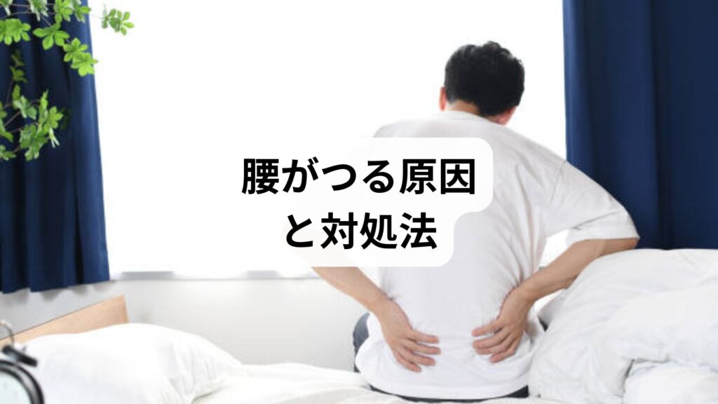 【腰がつる原因と対処法】突然の激痛を防ぐセルフケアと鍼灸整体による改善例を徹底解説