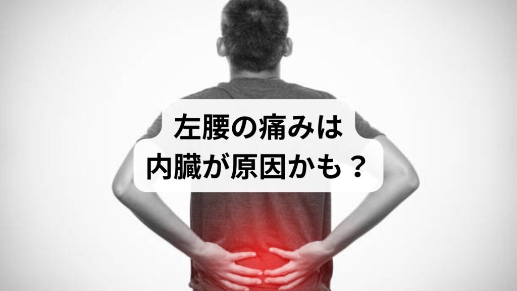 【左腰の痛みは内臓が原因かも？】見逃せないサインと鍼灸整体による改善例を徹底解説