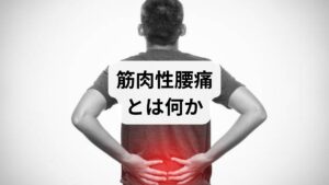 筋肉性腰痛は筋膜や筋繊維の過緊張、トリガーポイント（圧痛点）、筋疲労が主因で起こります。

特徴：動作で痛みが変わりやすい；触ると硬さや圧痛がある；姿勢や疲労で増悪しやすい。
他の原因との違い：椎間板ヘルニアや脊柱管狭窄は神経症状（しびれ・筋力低下）が目立つことが多く、画像所見で異常が確認される場合がある。筋肉性は画像で異常が見つからないことが多いが、日常動作での制限が主訴になる。