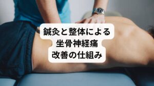 鍼灸と整体は、坐骨神経痛の根本改善を目指す治療法として注目されています。

鍼灸
ツボを刺激することで血流を改善し、筋肉の緊張を緩和します。神経周囲の炎症を抑え、自律神経のバランスを整える効果も期待できます。
整体
骨格や筋肉のバランスを整えることで、神経への圧迫を軽減します。姿勢改善や骨盤矯正により、坐骨神経への負担を減らすことが可能です。

両者を組み合わせることで「痛みの緩和＋再発予防」が実現し、薬や注射に頼らない持続的な改善が期待できます。