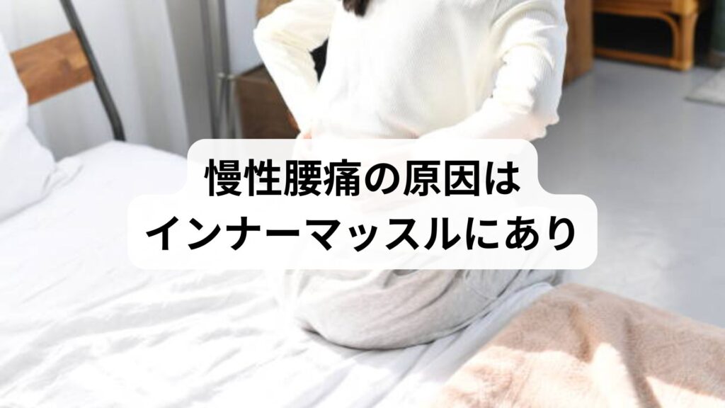 【腰痛 腸腰筋】慢性腰痛の原因はインナーマッスルにあり！鍼灸整体で根本改善した女性の体験談も紹介