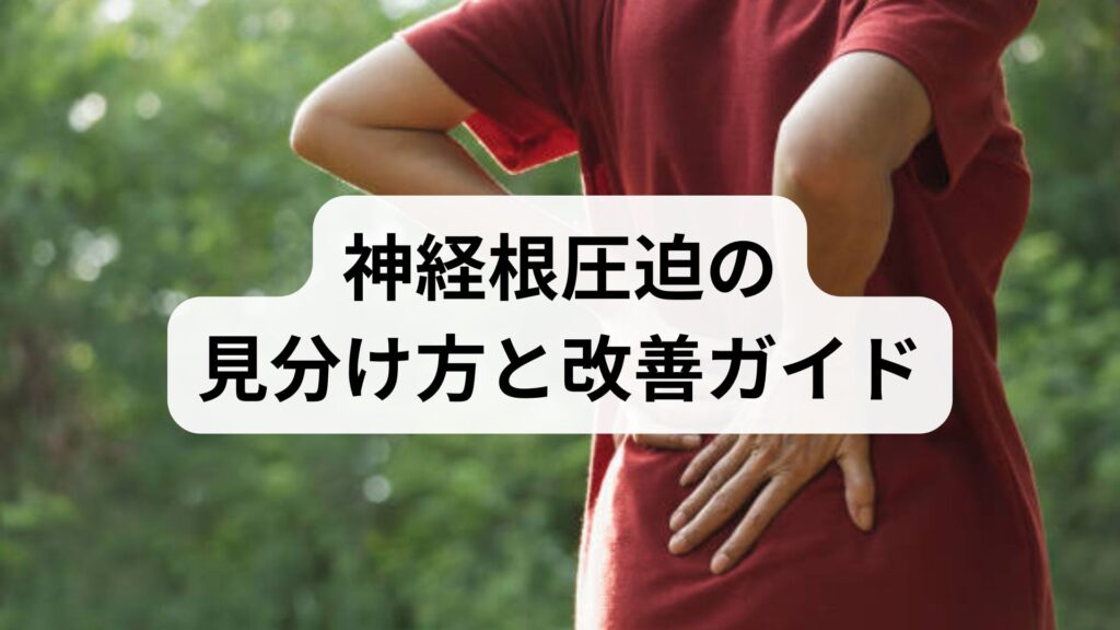神経根圧迫の見分け方と改善ガイド｜神経根圧迫が疑われる症状と対処法