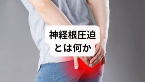 神経根圧迫は、脊椎から出る神経の根元（神経根）が椎間板ヘルニア、脊柱管狭窄、骨棘、腫瘍などで圧迫される状態を指します。圧迫される部位により、頸椎であれば上肢、腰椎であれば下肢に放散する痛みやしびれ、感覚鈍麻、筋力低下が生じます。典型的な神経根 症状は片側性の放散痛と、特定の姿勢や動作で悪化する点です。