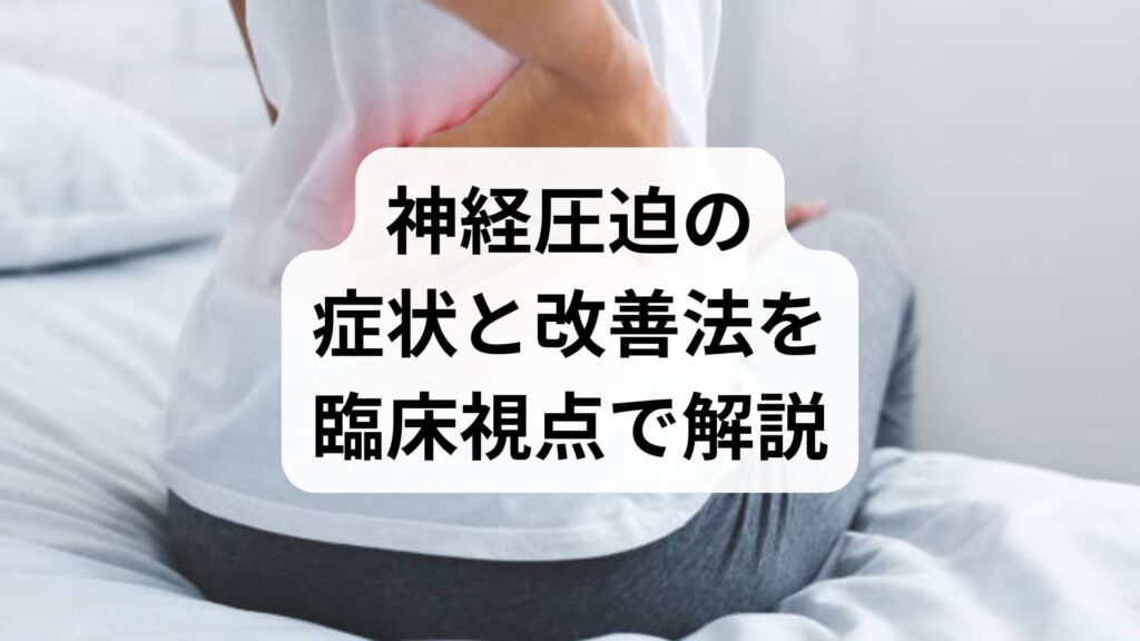 神経圧迫の症状と改善法を臨床視点で解説｜坐骨神経痛・神経圧迫症状からの回復プラン